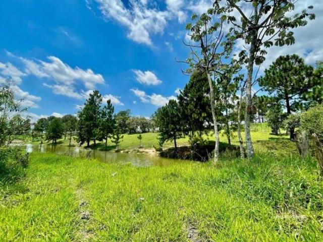 Terreno venda em Região Imediata de Sorocaba, Região Metropolitana de Sorocaba