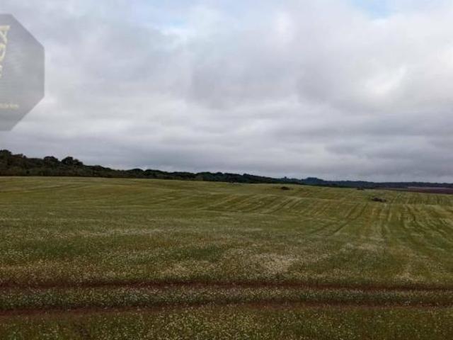Terreno venda em Região Geográfica Imediata de Curitiba, Região Metropolitana de Curitiba
