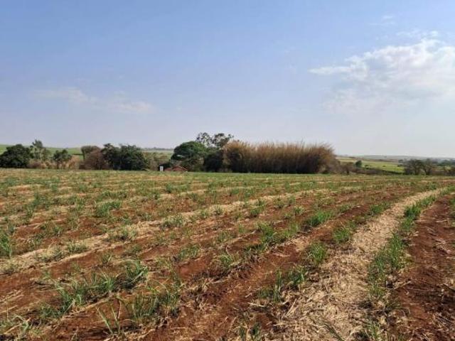 Terreno venda em Região Imediata de Piracicaba, Região Metropolitana de Piracicaba
