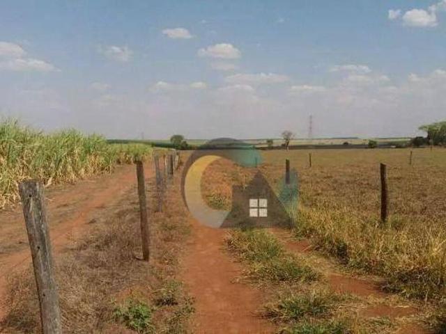 Terreno venda em Região Imediata de Barretos, Barretos