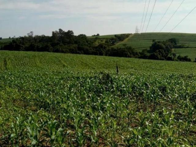 Terreno venda em Região Imediata de Limeira, Região Metropolitana de Piracicaba
