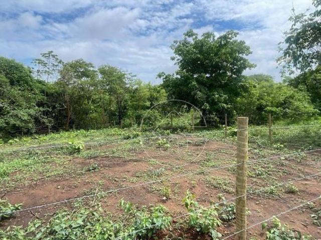 Terreno venda em Região Geográfica Imediata de Barra do Garças, Barra do Garças