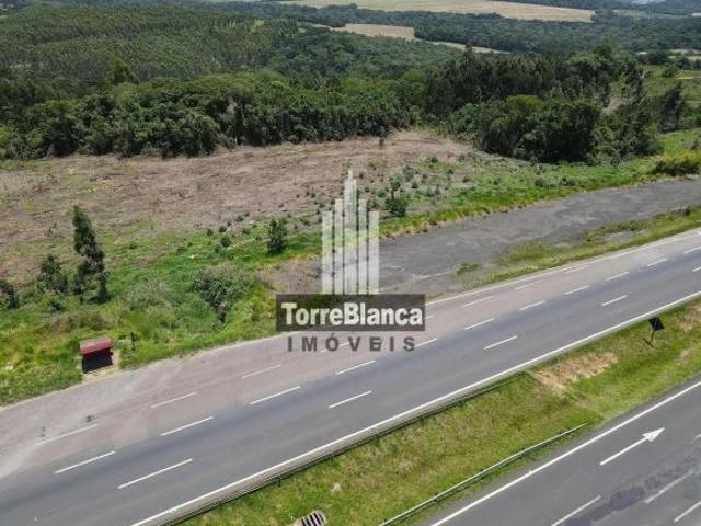 Terreno venda em Região Geográfica Imediata de Ponta Grossa, Ponta Grossa