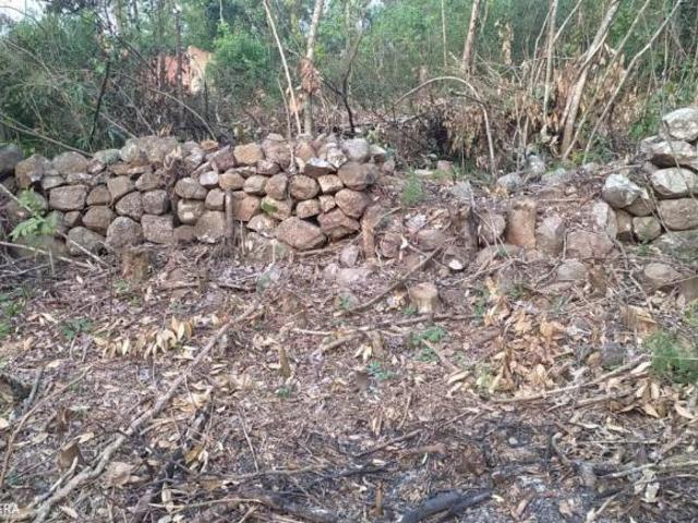 Terreno venda em Região Geográfica Imediata de Montenegro, Maratá