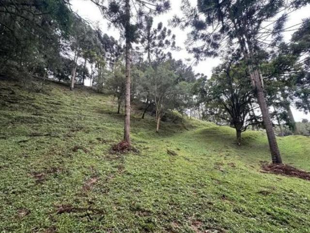 Sítio e chácara venda em Região Geográfica Imediata de Curitiba, Região Metropolitana de Curitiba