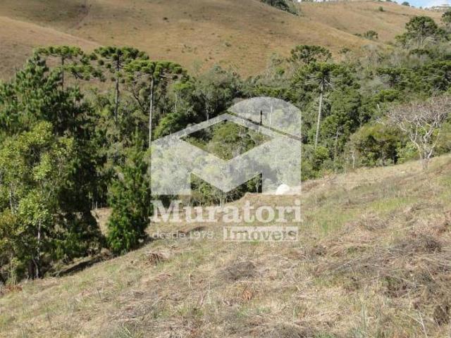 Terreno venda em Vila Paulista, Campos do Jordão