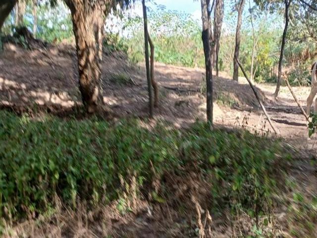 Terreno venda em Região Geográfica Imediata de Belo Horizonte, Região Metropolitana de Belo Horizonte
