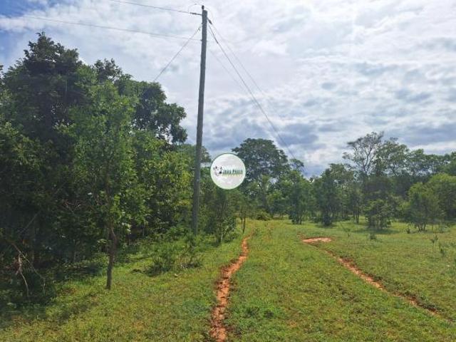 Sítio e chácara venda em Região Geográfica Imediata de Januária, Januária