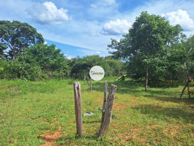 Sítio e chácara venda em Região Geográfica Imediata de Januária, Januária