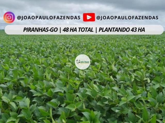 Sítio e chácara venda em Região Geográfica Imediata de Iporá, Piranhas