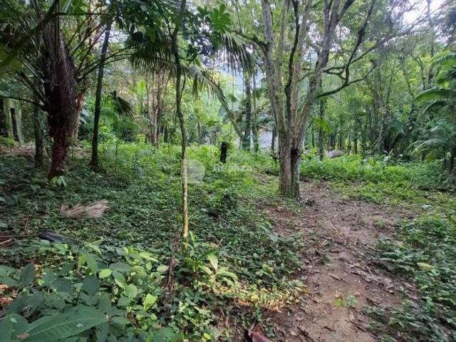Terreno venda em Ubatuba