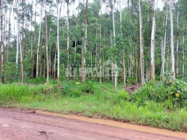 Sítio e chácara venda em Região Geográfica Imediata de Novo Hamburgo - São Leopoldo, Bom Princípio
