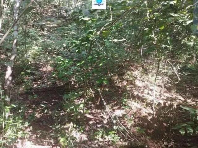 Terreno venda em Setor Central, Anápolis