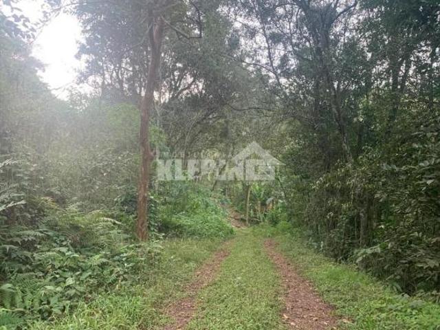 Sítio e chácara venda em Região Geográfica Imediata de Novo Hamburgo - São Leopoldo, Bom Princípio