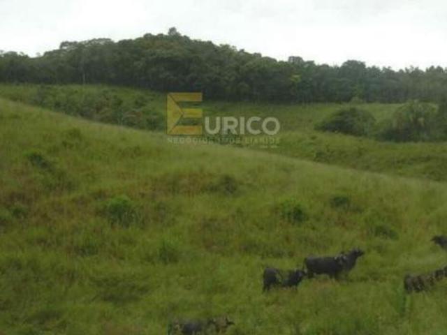 Terreno venda em Capburgo, Ribeirão Pires