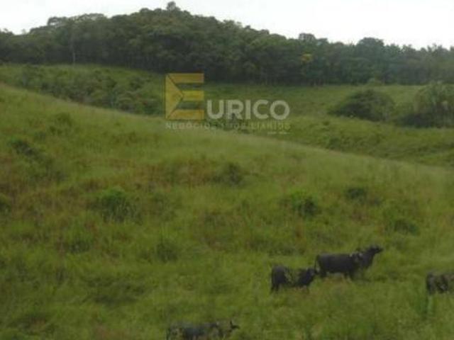 Terreno venda em Capburgo, Ribeirão Pires
