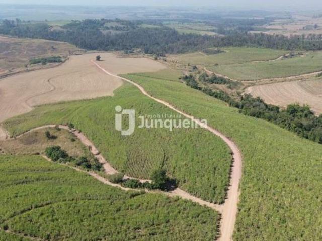 Sítio e chácara venda em Região Imediata de Piracicaba, Região Metropolitana de Piracicaba