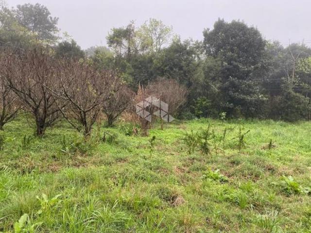 Sítio e chácara venda em Região Geográfica Imediata de Caxias do Sul, Nova Petrópolis