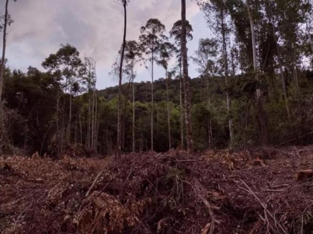 Sítio e chácara venda em Região Geográfica Imediata de Caxias do Sul, Nova Petrópolis