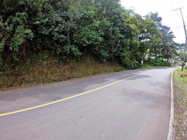Sítio e chácara venda em Gramado
