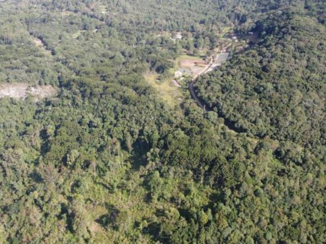 Sítio e chácara venda em Região Geográfica Imediata de Caxias do Sul, Gramado