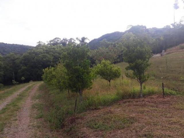 Sítio e chácara venda em Região Geográfica Imediata de Caxias do Sul, Nova Petrópolis