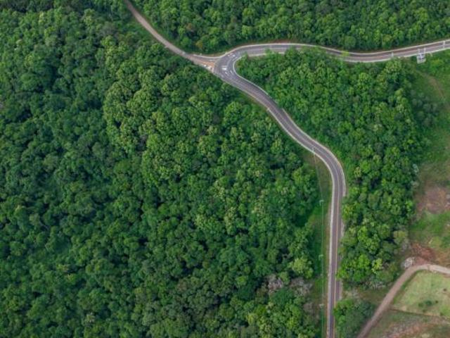 Sítio e chácara venda em Região Geográfica Imediata de Caxias do Sul, Nova Petrópolis