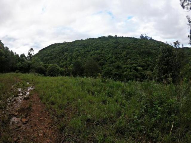 Sítio e chácara venda em Região Geográfica Imediata de Caxias do Sul, Gramado