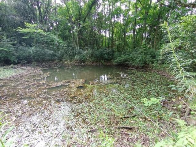 Sítio e chácara venda em Região Geográfica Imediata de Caxias do Sul, Gramado
