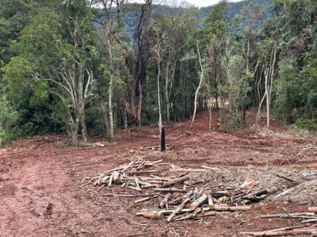 Sítio e chácara venda em Região Geográfica Imediata de Caxias do Sul, Canela
