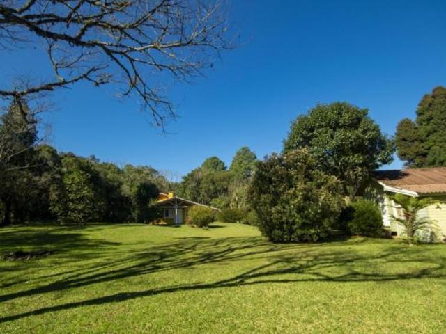 Sítio e chácara venda em Gramado