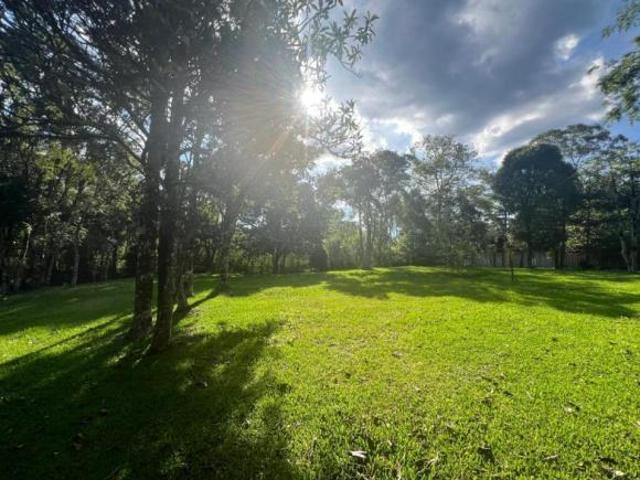Sítio e chácara venda em Gramado