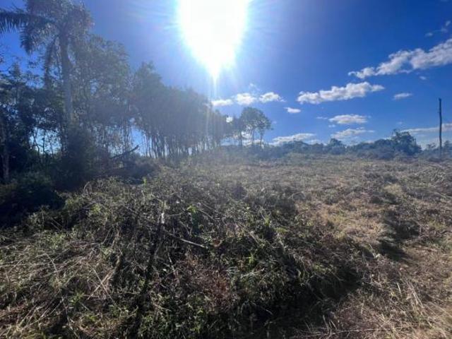 Sítio e chácara venda em Região Geográfica Imediata de Caxias do Sul, Gramado