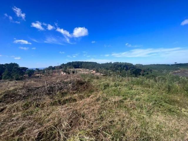 Sítio e chácara venda em Região Geográfica Imediata de Caxias do Sul, Gramado