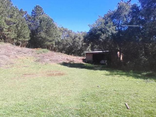 Sítio e chácara venda em Gramado