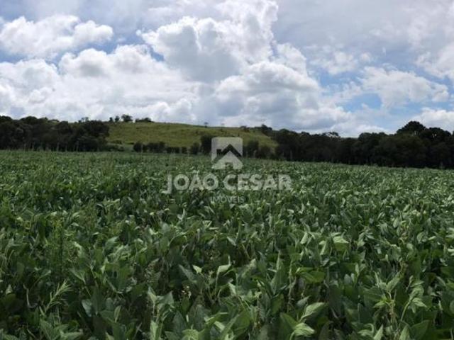 Sítio e chácara venda em Região Geográfica Imediata de Lagoa Vermelha, Lagoa Vermelha