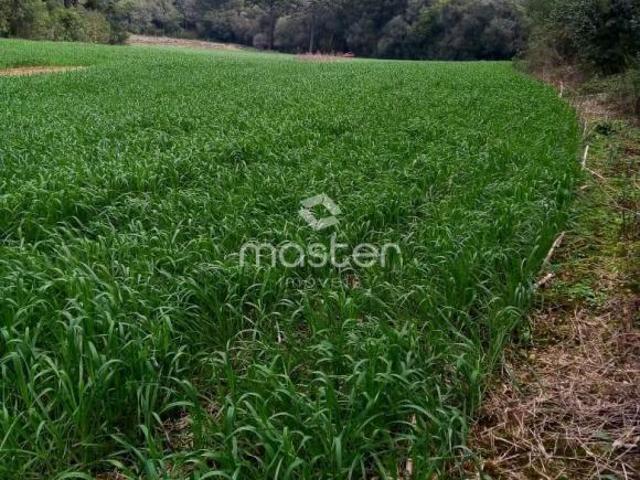 Sítio e chácara venda em Região Geográfica Imediata de Passo Fundo, Mato Castelhano