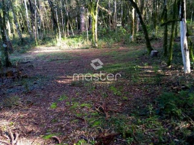 Sítio e chácara venda em Região Geográfica Imediata de Passo Fundo, Mato Castelhano