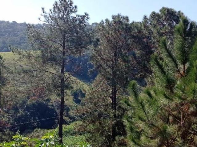 Sítio e chácara venda em Região Imediata de São José dos Campos, Região Metropolitana do Vale do Paraíba e Litoral Norte