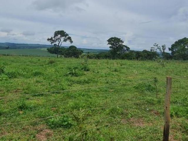 Sítio e chácara venda em Região Geográfica Imediata de Anápolis, Leopoldo de Bulhões