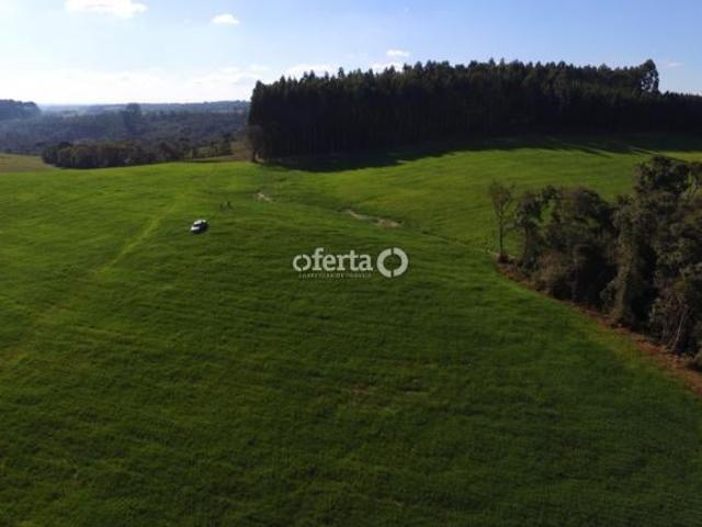 Sítio e chácara venda em Região Geográfica Imediata de União da Vitória, Antônio Olinto