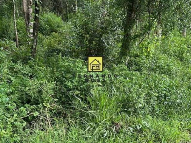 Terreno venda em Região Geográfica Imediata de Taquara - Parobé - Igrejinha, Três Coroas