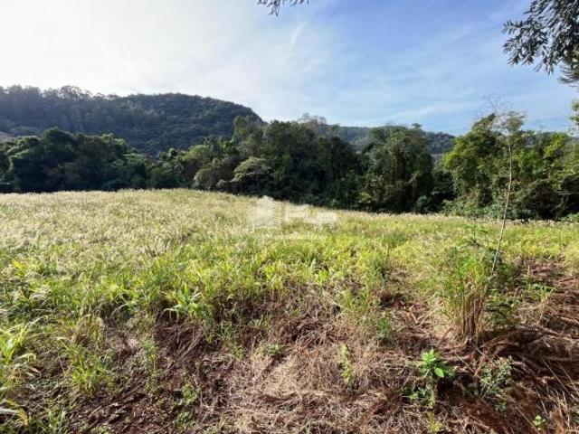 Sítio e chácara venda em Região Geográfica Imediata de Caxias do Sul, Alto Feliz