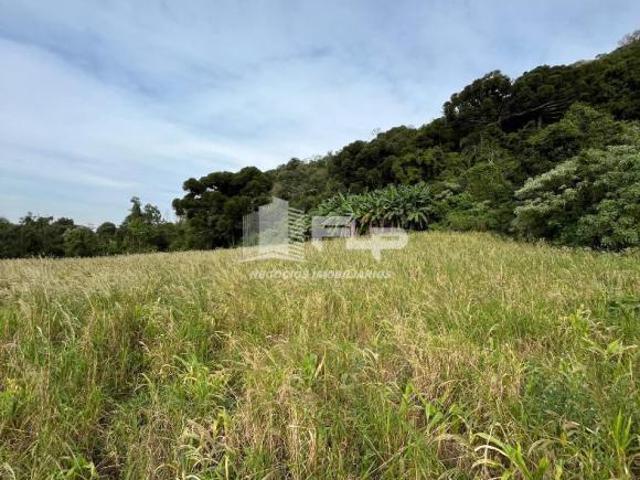 Sítio e chácara venda em Região Geográfica Imediata de Caxias do Sul, Alto Feliz