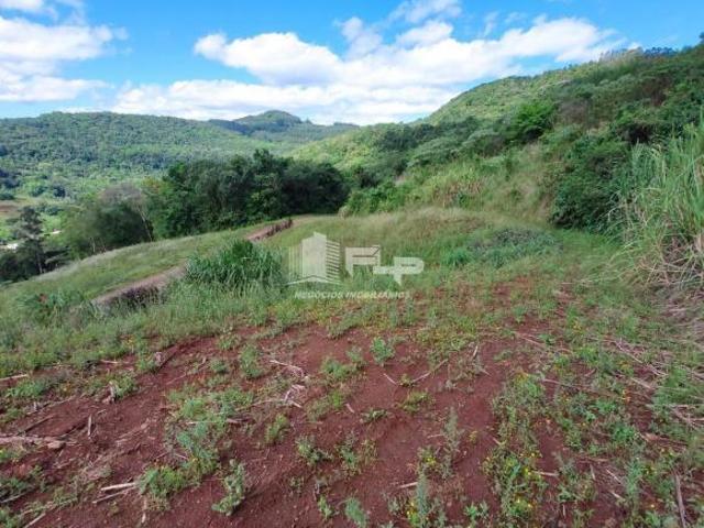 Sítio e chácara venda em Região Geográfica Imediata de Caxias do Sul, Feliz