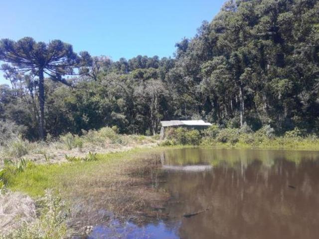 Sítio e chácara venda em Região Geográfica Imediata de Novo Hamburgo - São Leopoldo, Morro Reuter