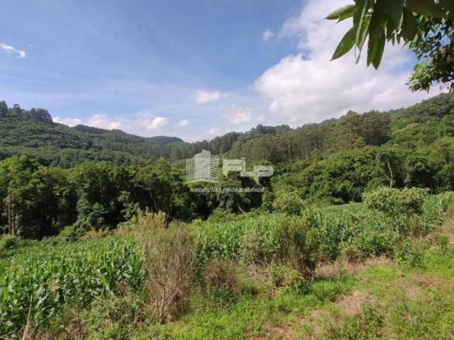 Sítio e chácara venda em Região Geográfica Imediata de Caxias do Sul, Alto Feliz