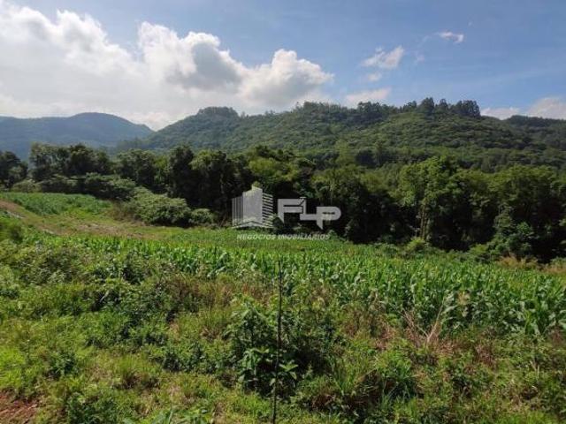 Sítio e chácara venda em Região Geográfica Imediata de Caxias do Sul, Alto Feliz
