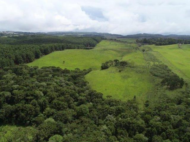 Sítio e chácara venda em Região Geográfica Imediata de Caxias do Sul, São Francisco de Paula