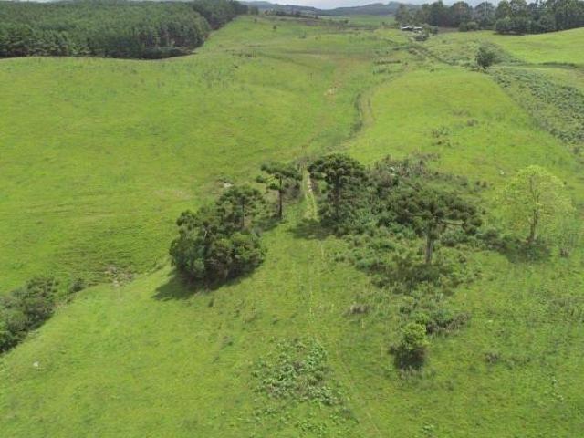 Sítio e chácara venda em Região Geográfica Imediata de Caxias do Sul, São Francisco de Paula